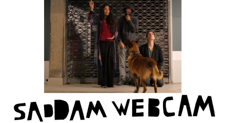 Saddam Webcam
              